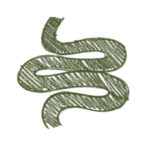 feature-item-4